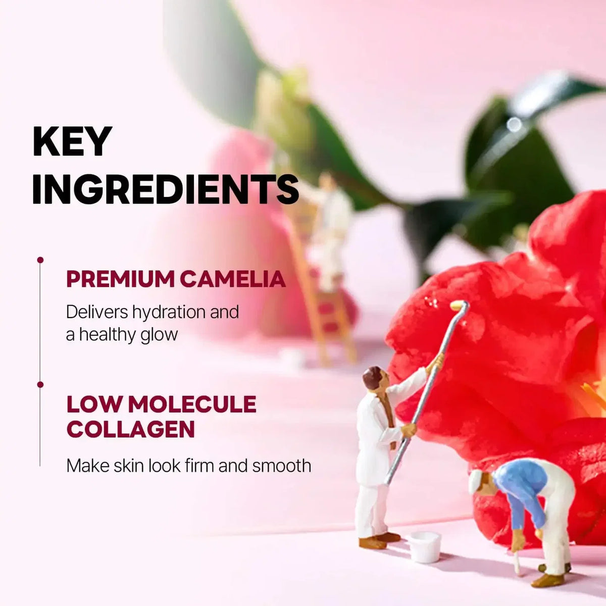 Round Lab Camellia Deep Collagen V Lifting Gel Mask Set (4 pcs)
