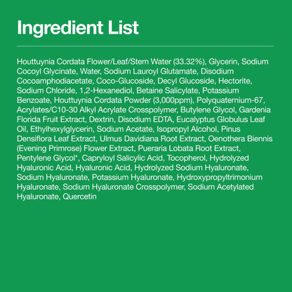 Anua Heartleaf Quercetinol Pore Deep Cleansing Foam
