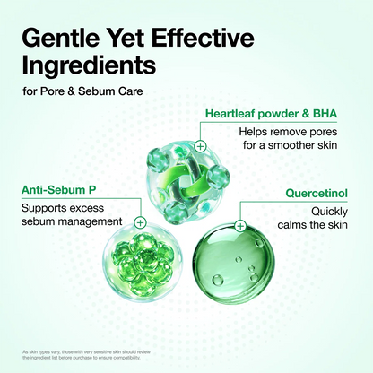 Anua Heartleaf Quercetinol Pore Deep Cleansing Foam